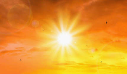 Featured Report Image