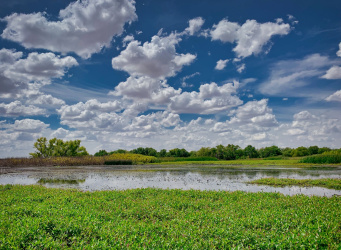 Featured Report Image